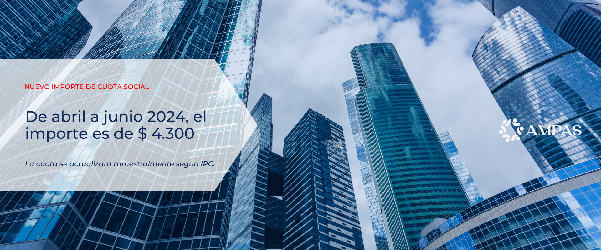 banners web ampas (7)